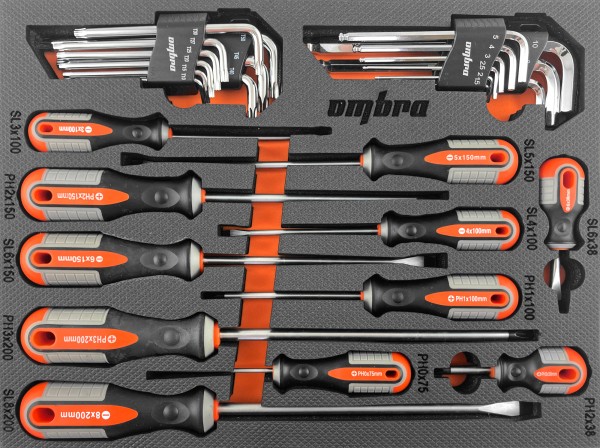 Набор стержневых отвёрток и торцевых ключей OMBRA OMT29STE
