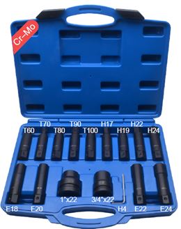 Набор бит и головок удлиненных ударных с адаптерами 3/4'',1''(TORX:60,70,80,90,100, HEX: 17,19,22,24, головки Е-профиль: 18,20,22,24)16пр., в кейсе