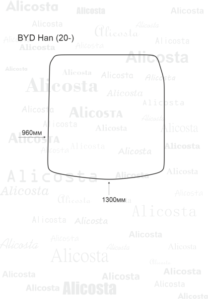 EVA-коврик в багажник BYD Han (20-)