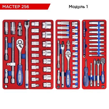 Набор инструментов МАСТЕР 256 для тележки МАСТАК 5-00256 (11 ложементов, 256 предметов)