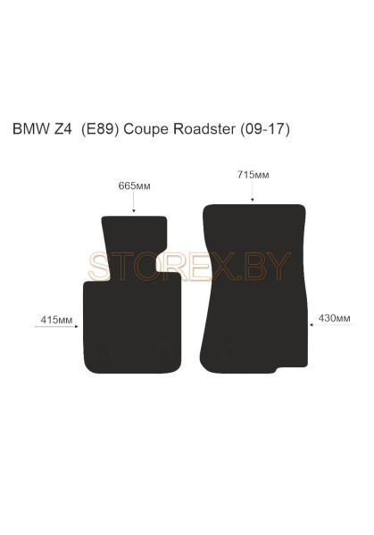 BMW Z4 (E89) (09-17) (Coupe-Roadster) copy