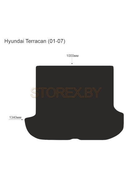 Hyundai Terracan (01-07) Багажник copy