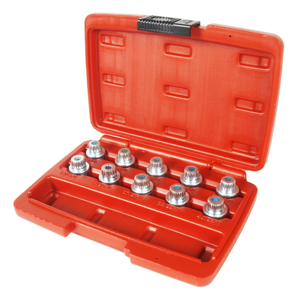 Набор головок для секреток колесных дисков JTC 4318 (BMW)