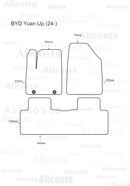 EVA-коврики в салон BYD Yuan Up (24-)
