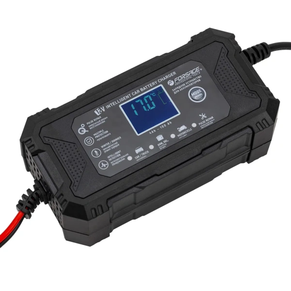 Устройство зарядное импульсное для АКБ с жидкокристаллическим дисплеем (12В,автостоп,функция восст.-я,защита от превыш.напряж. и короткого замыкания)