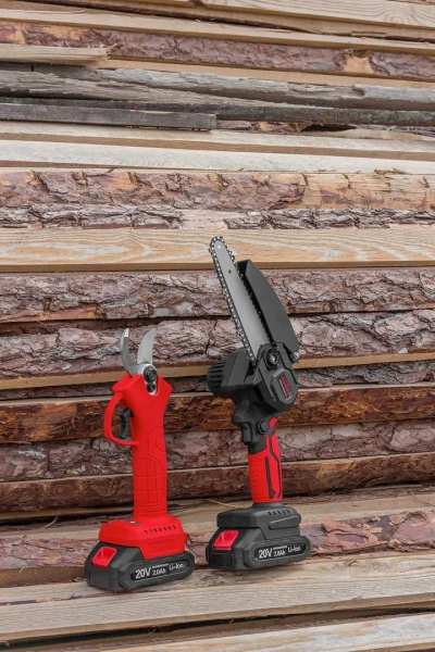 Набор cадового аккумуляторного инструмента (пила сабельная аккумуляторная WT02F1230, пила сабельная аккумуляторная CSR 1118 E) в комплекте с аксессуар