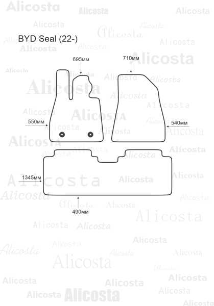 Ворсовые коврики в салон BYD Seal (22-)
