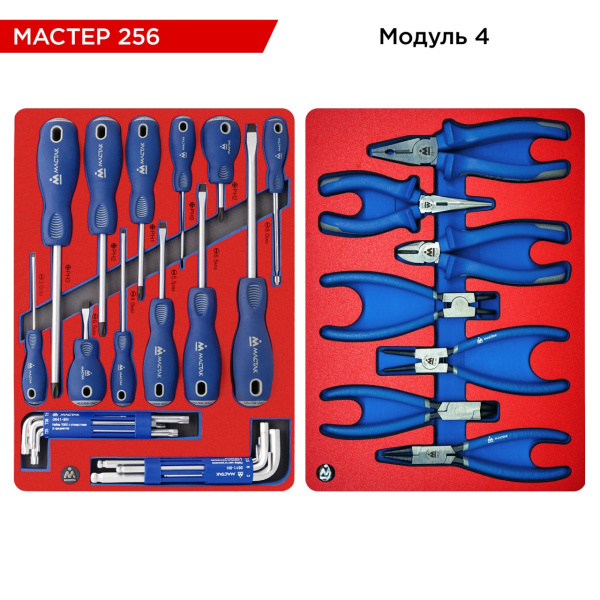 Набор инструментов 256 предметов, "МАСТЕР 256", в тележке МАСТАК 52-05256