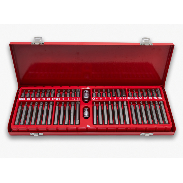 Набор вставок-бит ROSSVIK ST098 (54 предмета)