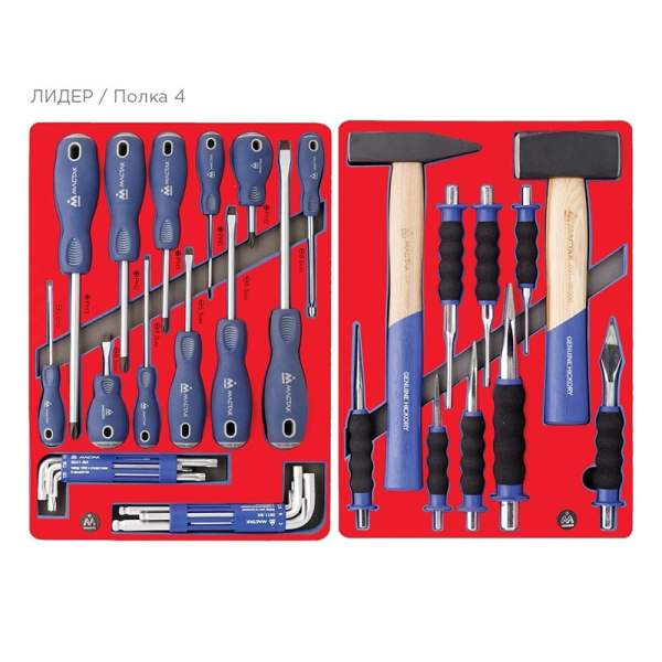 Инструментальная тележка с набором инструментов МАСТАК "ЛИДЕР" 52-06270G, 270 предметов