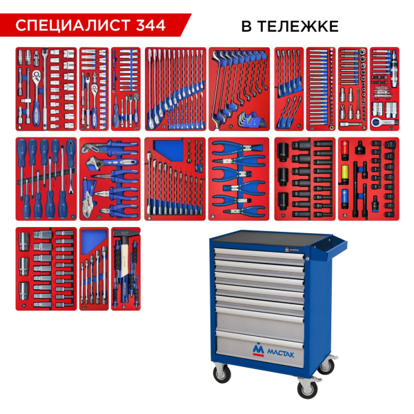 Набор инструментов СПЕЦИАЛИСТ 344 в тележке МАСТАК (344 предмета)