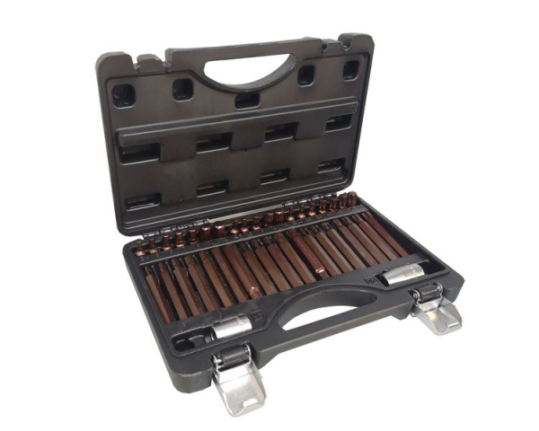 Набор бит с битодержателями ''Premium'', 40пр. (10мм)(75/30мм: T20-T55,H4-H12,M5-M12) в пластиковом кейсе